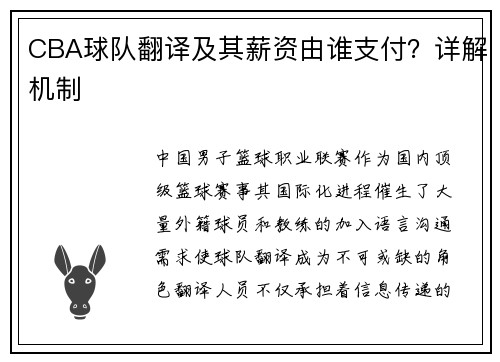 CBA球队翻译及其薪资由谁支付？详解机制